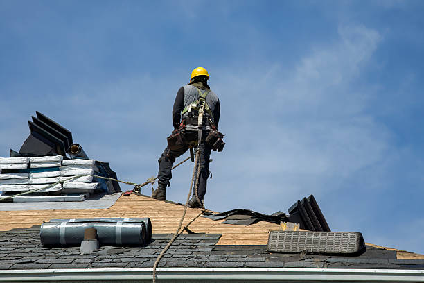 Professional Roof Replacement technician working in Colona, IL